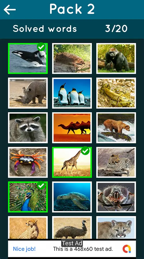 1000000208.webp