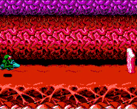 1000007520.gif