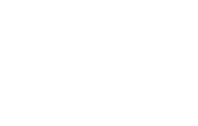 LT4 | Download Files | Marketplace | Media