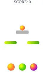 1000007895.webp