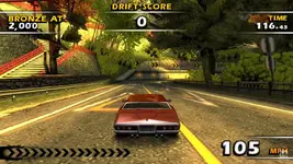 1000008215.webp