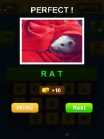 1000000098.webp