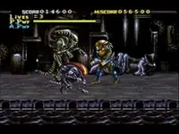 418WZG9X5bL._AC_UF1000,1000_QL80_.webp