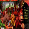Donkey Kong Country