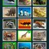 Guess The Picture (Unity Game + Android + iOS + AdMob)