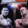 WWE SmackDown Vs. RAW 2006