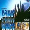 Sonic Wings