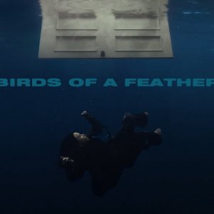 Billie Eilish - BIRDS OF A FEATHER (Official Lyric Video)