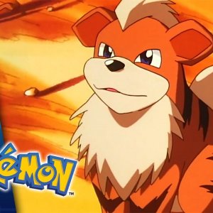 Holy Matrimony! | POKÉMON FULL EPISODE 45 | Season 1