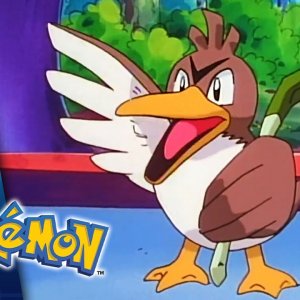 So Near Yet So Farfetch’d | POKÉMON FULL EPISODE 46 | Season 1