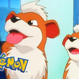 The Case of the K-9 Caper | POKÉMON FULL EPISODE 49 | Season 1