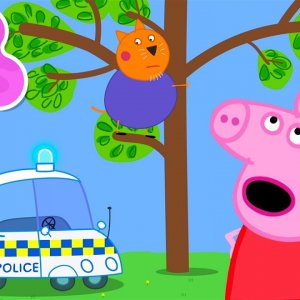 Mr Cat Gets Stuck in a Tree! 🚨 | Peppa Pig Official Full Episodes
