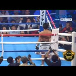 Omar NARVAEZ vs Naoya INOUE - WBO - Full Fight - Pelea completa